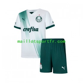 Maillot de Foot Palmeiras Enfant Exterieur 2023/24